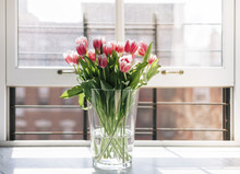 Fresh Tulips In Vase On Window