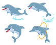 Cute Dolphin cartoon collection set