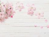 Fototapeta Storczyk - apple flowers on wooden background
