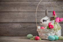 Rabbit With Easter Eggs On Wooden Background