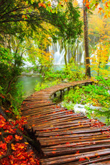 Wall Mural - Wooden tourist path in Plitvice lakes national park