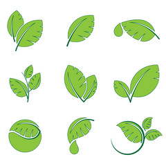 Wall Mural - Green leaves leaf symbol vector icon set