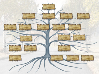 family tree illustration