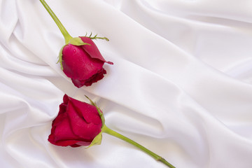 Wall Mural - red rose on white cloth