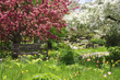 Spring background with a blossoming garden