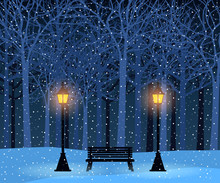 Winter Park And Outdoor Landscape With Bench, Trees, Streetlamps