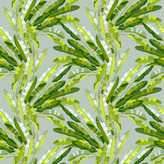 Wall Mural - Seamless pattern with tropic plants