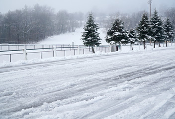 public park in light fog after snow with tire track on the snow