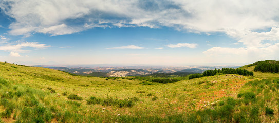 Canvas Print - Green hills landscape