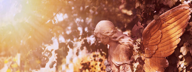 Fototapete - Vintage image of a sad angel on a cemetery against the backgroun