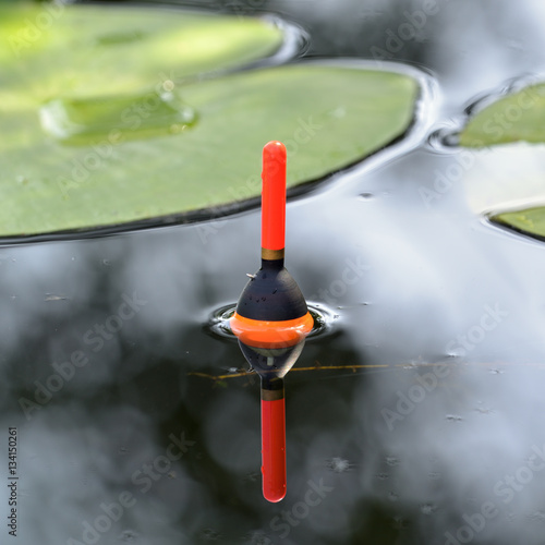 Fotografie, Obraz Fishing float in the pond among lily leaves
