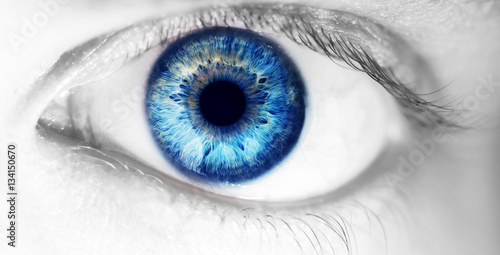 Fotografía beautiful human eye, macro, close up blue, yellow, brown, green