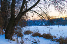Winter Forest And The River At Sunset