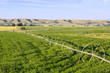 irrigation equipment spanning across an alfalfa field