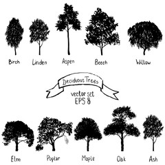 vector set of deciduous trees