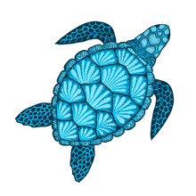 Sea Turtle In Line Art Style. Hand Drawn Vector Illustration. Design For Coloring Book.