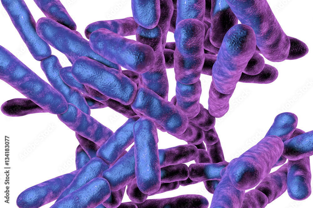 Bacteria Bifidobacterium isolated on white background, bacteria which ...