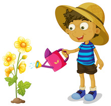 Boy Watering Yellow Flower With Can