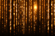 Christmas Digital Glitter Sparks Golden Particles Strips Flowing On Black Background