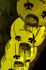 lantern yellow chaina