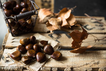 Fresh Chestnuts In Wire Basket Scattered On Burlap Cloth, Dry Brown Leaves,on Vintage Wood Box, Autumn, Fall, Harvest, Cozy Atmosphere