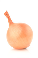 Poster - Onion