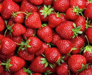 Wall Mural - Strawberry background.  Red ripe organic strawberries on market