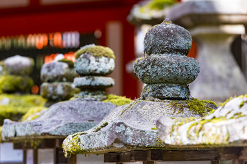 Rows of ancient stone and wooden lanterns Toro covered in moss in Nara