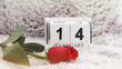 © 4 Girls 1 Boy - February 14 on wooden cube calendar, red rose on blur fur backgr