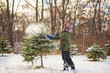 © RooM The Agency - Boy throwing snow onto a small Christmas tree growing in a Christmas tree farm, USA