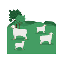 Landscape With Sheep And Trees Vector Illustration