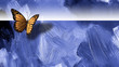 Graphic butterfly with textured background and horizon