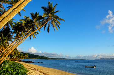 Wall Mural - Sandy beach in Lavena village on Taveuni Island, Fiji