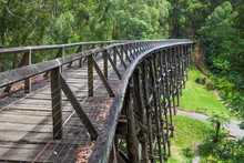 Noojee Old Trestle Bridge In Eucalyptus Forest.