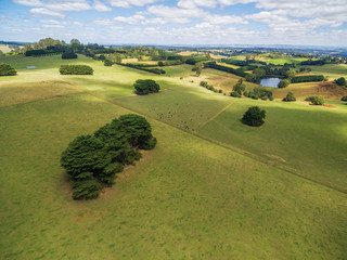 Green pastures of Australian countryside - aerial landscape