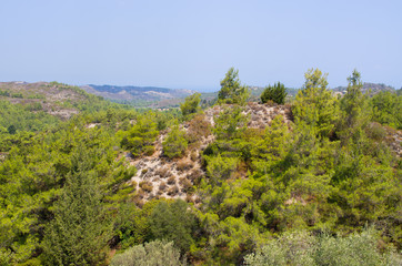 Canvas Print - Landscape of interior of Rhodes island, Greece