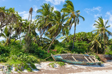 Abandoned Shipwreck Stranded On A Sandy Beach Under Palm Trees And Deep Blue Sky On A 