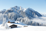 Fototapeta Las - Winterwonderland in the Alps
