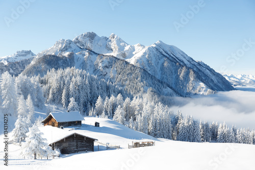 Foto-Kissen - Winterwonderland in the Alps (von Olha Sydorenko)