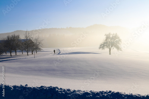 Photographie Winterlandschaft, Österreich, Neuschnee, Alpen