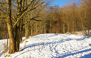 Wall Mural - Winterlandschaft