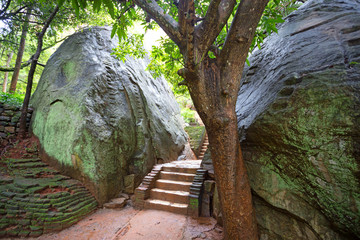 Wall Mural - Sigiriya ruin complex