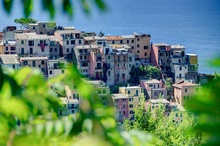 A Peek At The Little Corniglia In Cinque Terre, Italy
