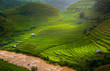 © Em7 - Green Rice fields on terraced in Mu cang chai, Vietnam