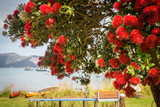 Fototapeta Tulipany - Ocean landscape with blooming pohutukawa tree with red flowers, the tree endemic to New Zealand and blooming around Christmas time