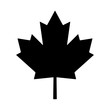 maple leaf canada vector symbol icon design