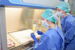 Medical researchers working behind screen