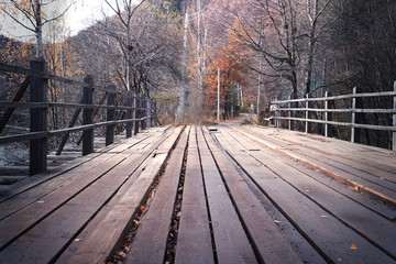 Canvas Print - Wooden bridge in the forest