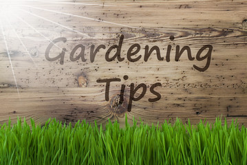 sunny wooden background, gras, text gardening tips