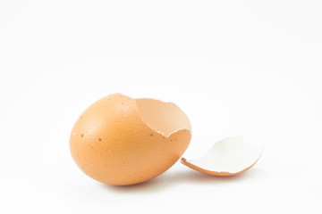 eggshell